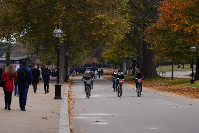 DSC_0615 (Large).JPG